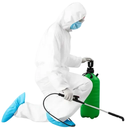 Ankara haşere ilaçlama