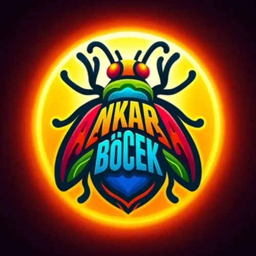 Ankara Böcek